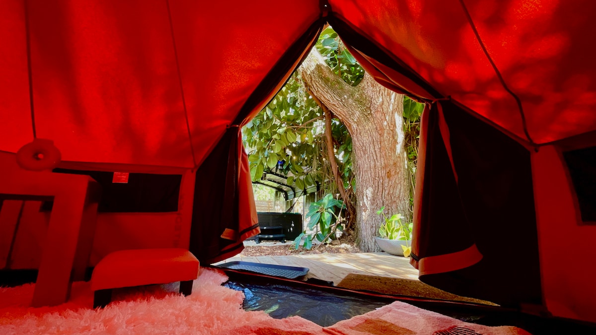 Glamping tent view of the ancient oak
